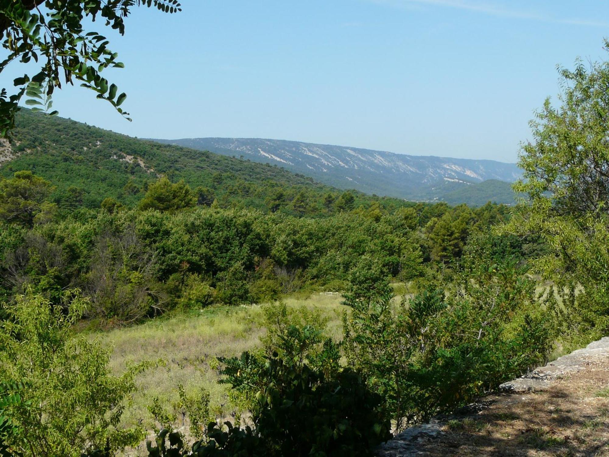 19Th Century Provencal Mas With Pool In Provence In The Luberon, Sleeps 6 Villa Lacoste  Exterior photo